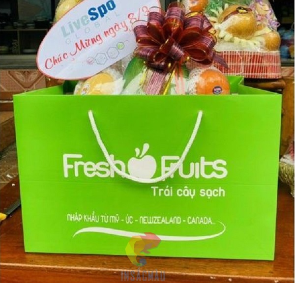 Mẫu túi đựng trái cây đẹp, tông màu xanh bắt mắt