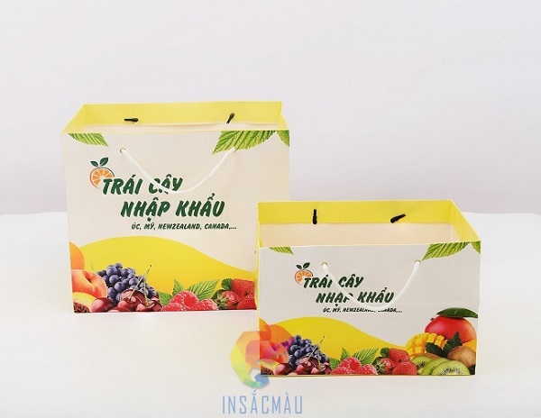 Mẫu túi đựng hoa quả cao cấp, nhiều màu sắc