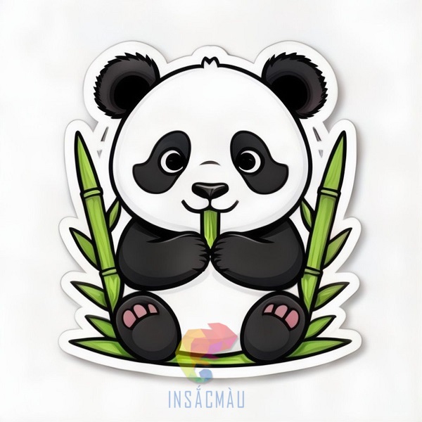 Mẫu sticker hình gấu trúc