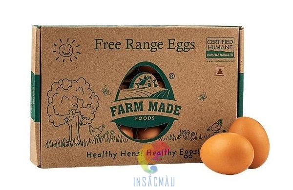 Mẫu hộp carton dẹp đựng trứng gà