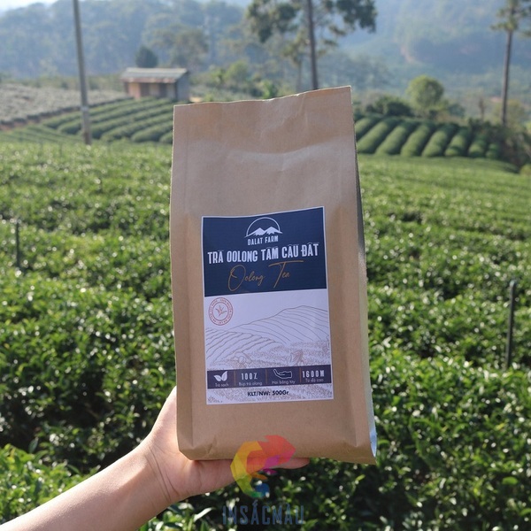 Mẫu bao bì túi giấy đựng trà thiết kế đẹp, chất lượng