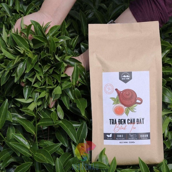 Mẫu bao bì túi giấy kraft đựng trà đen