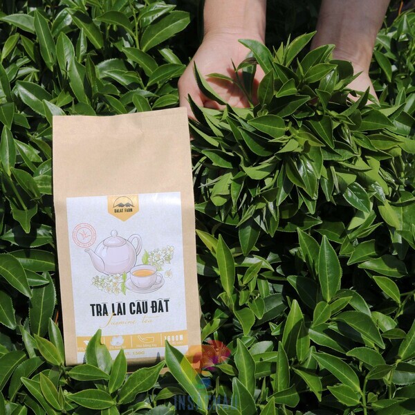 Mẫu thiết kế bao bì đựng trà bằng vật liệu thân thiện với môi trường
