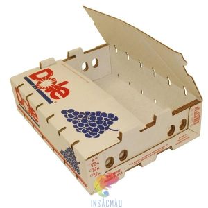 Thùng Carton Đựng Nho