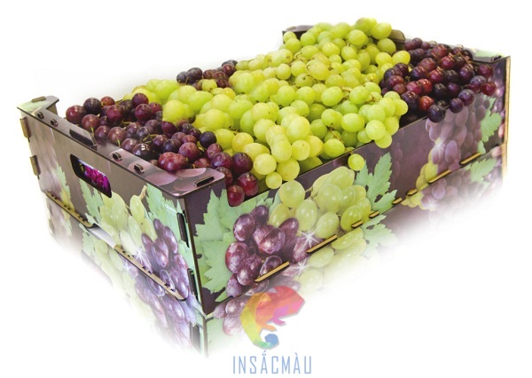 Mẫu thùng carton đựng nho không nắp