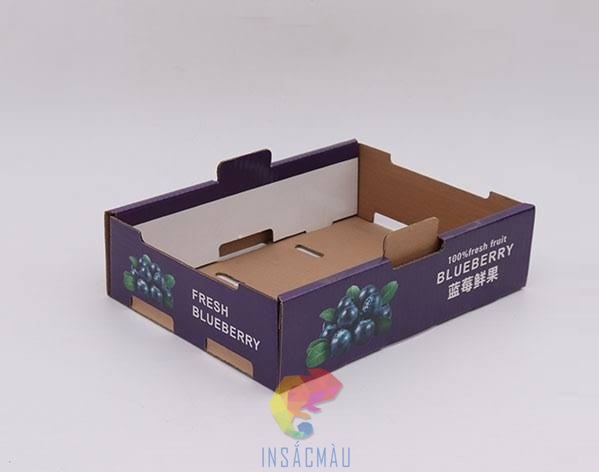 Mẫu thùng giấy carton đựng nho trưng bày