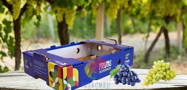Mẫu thùng giấy carton 3 lớp đựng nho tươi