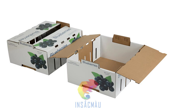 Mẫu thùng carton đựng nho kiểu nắp gài