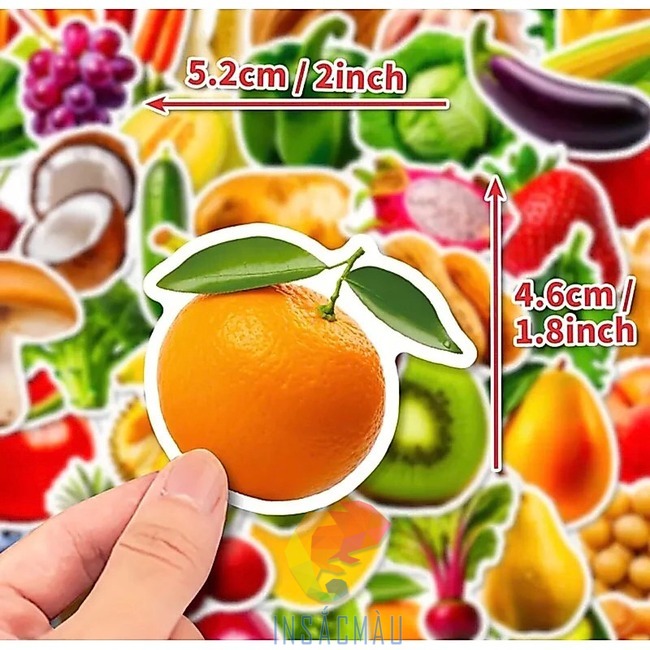 Mẫu sticker trái quýt