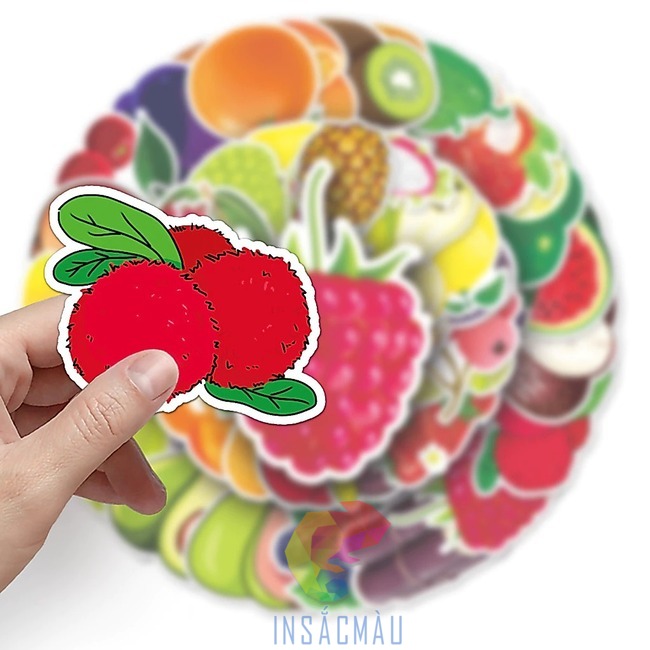 Mẫu sticker quả vải