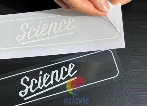 Mẫu decal trong chữ trắng đẹp
