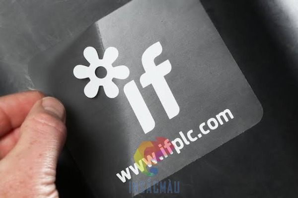 Mẫu decal trong chữ trắng thu hút