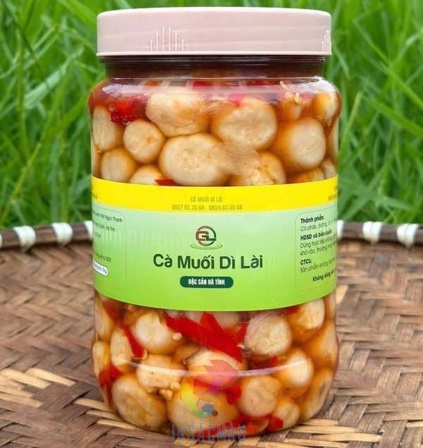 Mẫu tem nhãn hình chữ nhật dán quanh thân hũ cà pháo