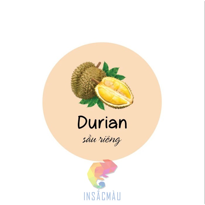 Mẫu tem nhãn dán bánh panna cotta vị sầu riêng