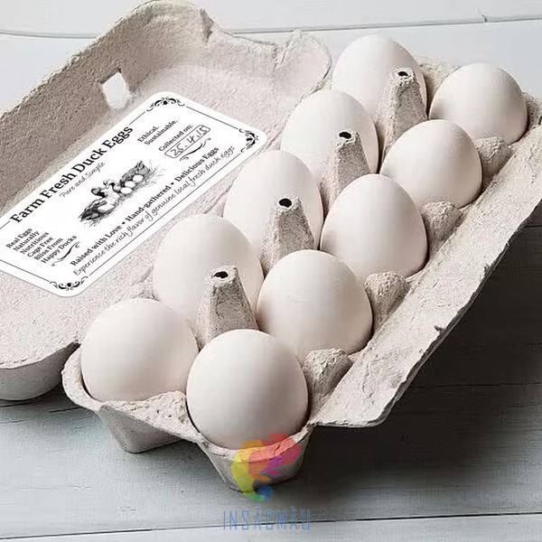 Mẫu tem dán hộp trứng vịt hình chữ nhật