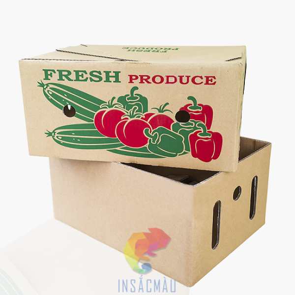 35+ Mẫu Thùng Carton Đẹp, Chất Lượng, Giá Rẻ Cho Nhiều Ngành Hàng