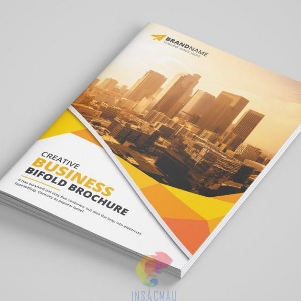 mẫu hồ sơ năng lực công ty