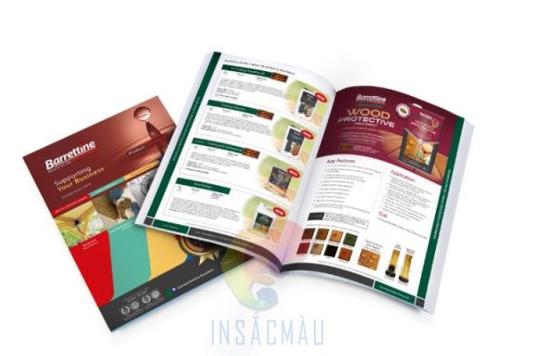nội dung catalogue